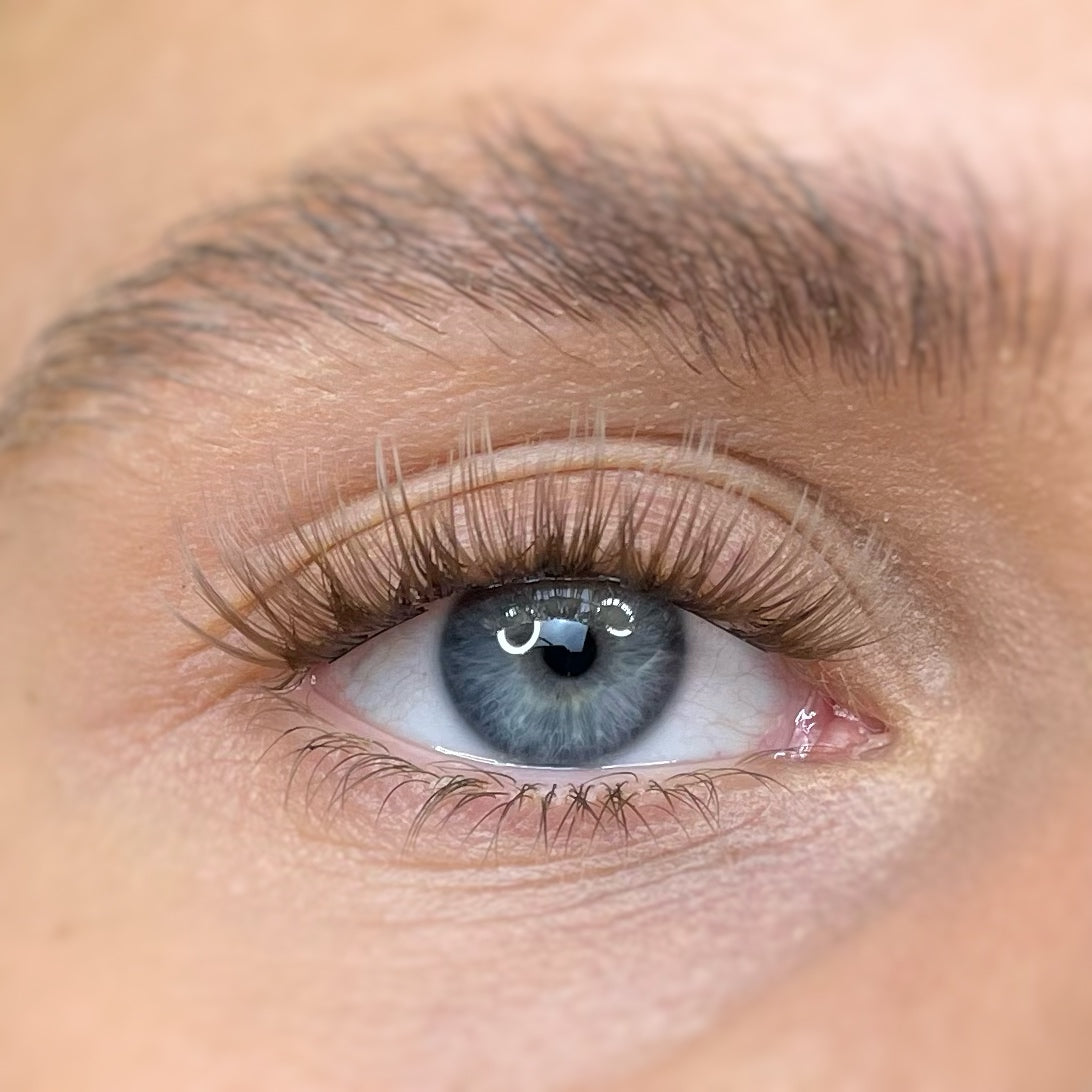 Flawless braun - Wimper