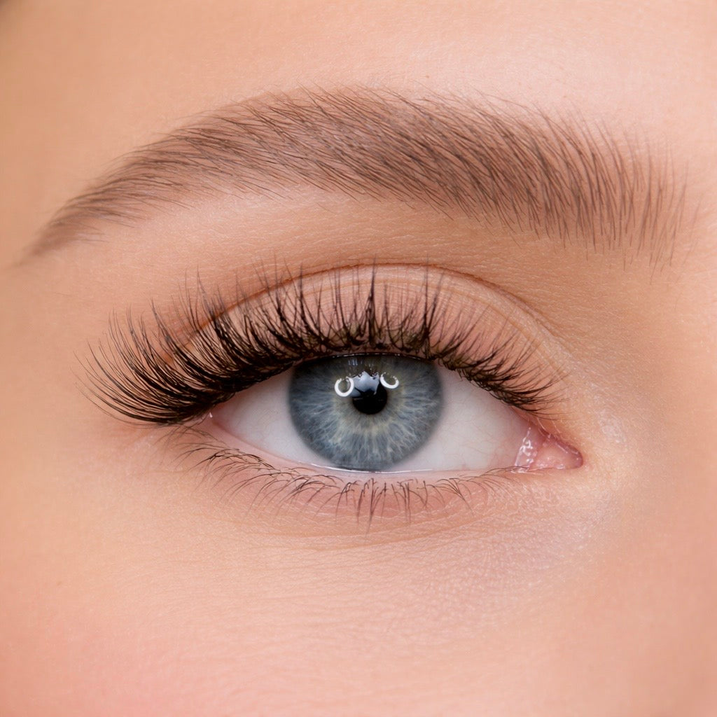 Suga Mama - Starter Kit