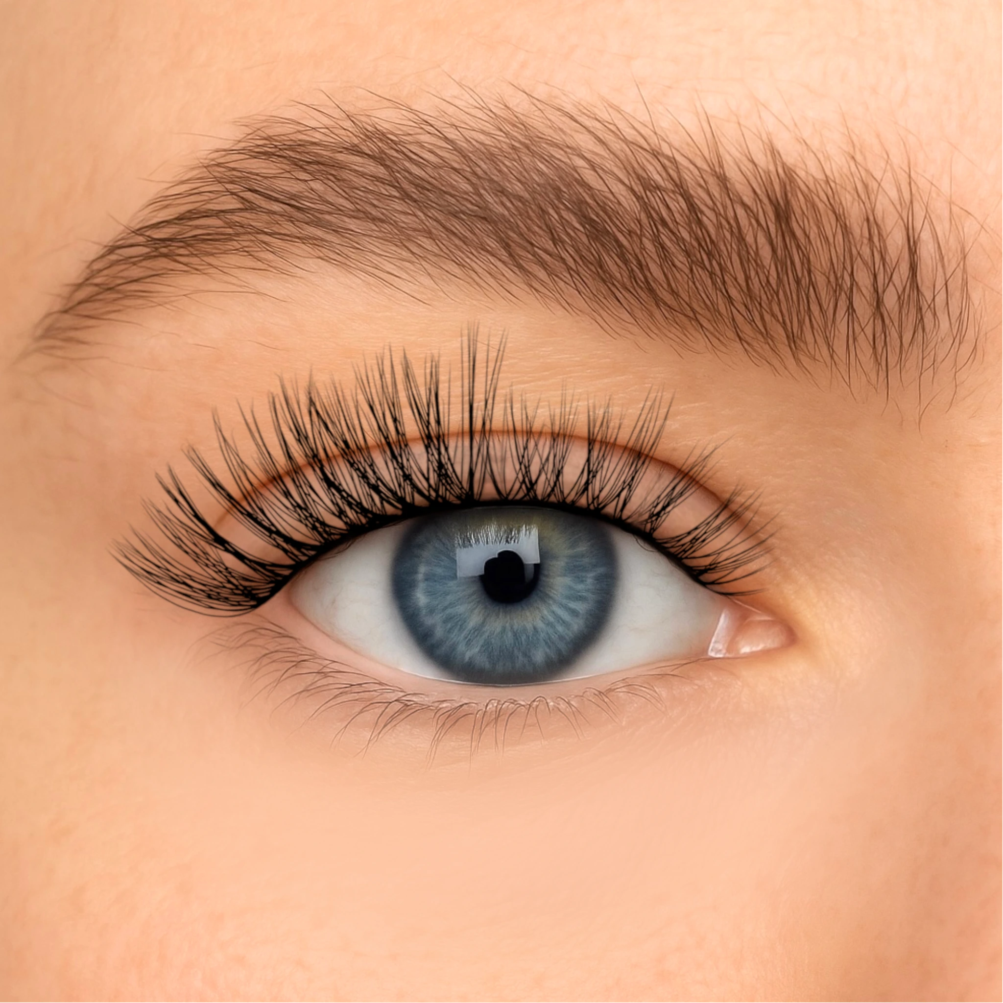 Formation - Starter Kit