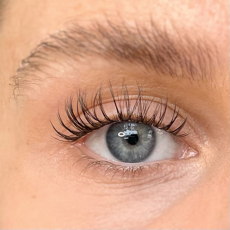 Honesty - Starter Kit