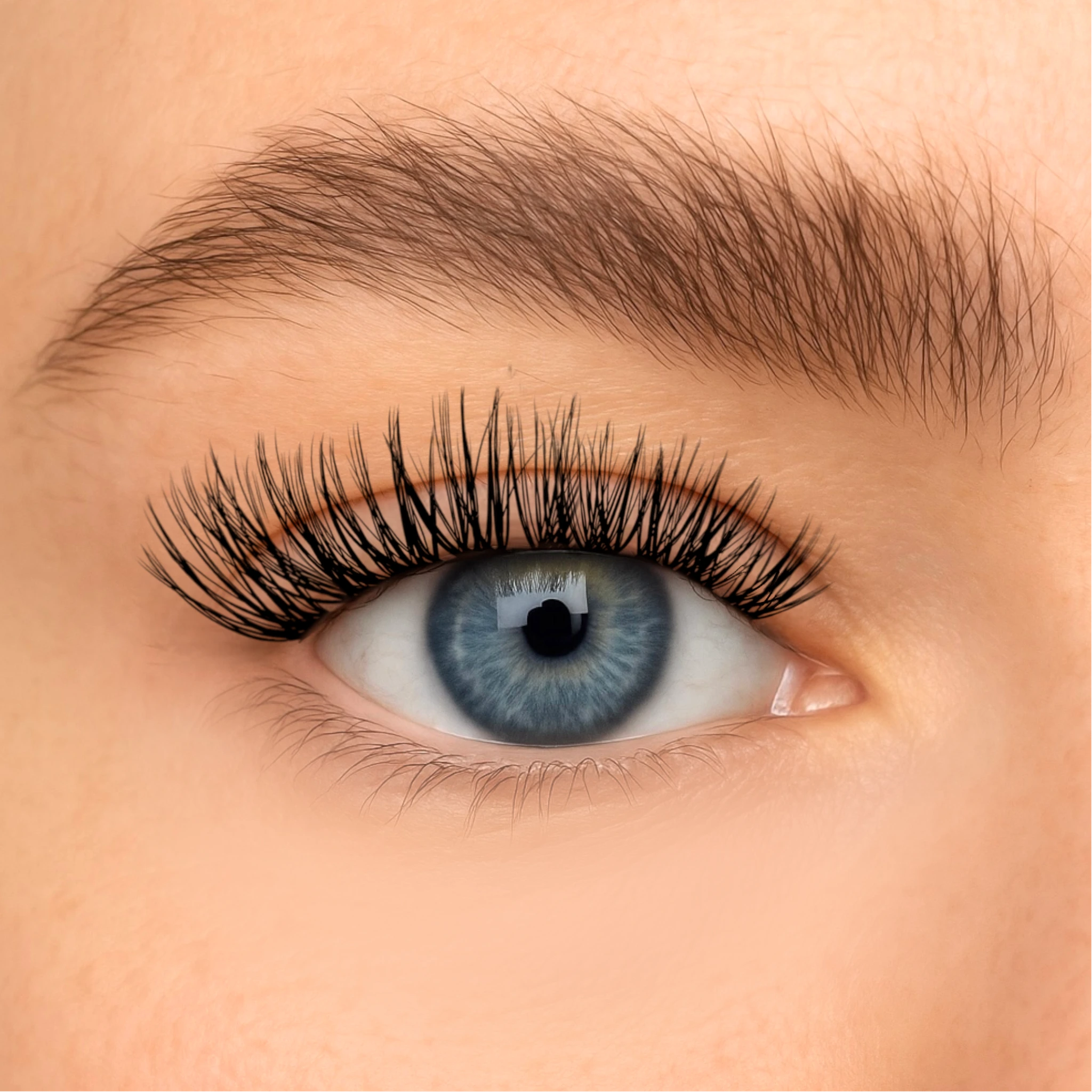 Kitty Kat - Wimpern Box