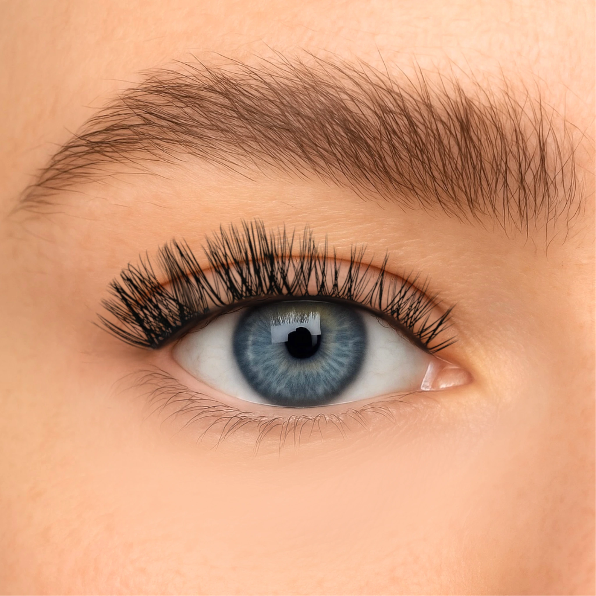 Suga Mama - Wimpern Box